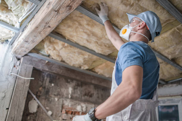 Best Commercial Insulation in Exeter, CA